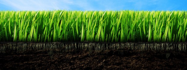 Fertilisation du sol