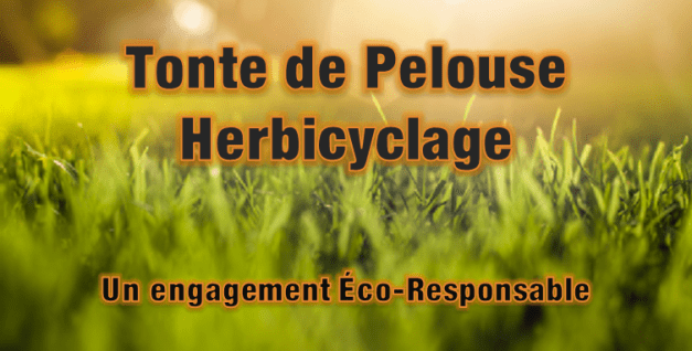 herbicyclage-les-entreprises-d-gauthier